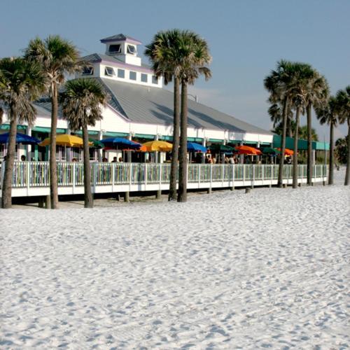 Palm Pavilion